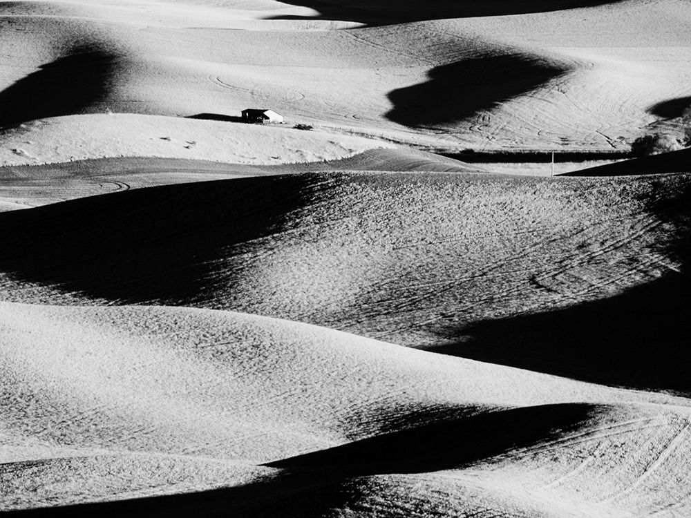 USA-Washington State-Palouse region-Rolling hills at Sunset